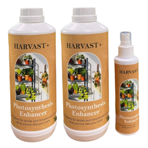 Harvast+